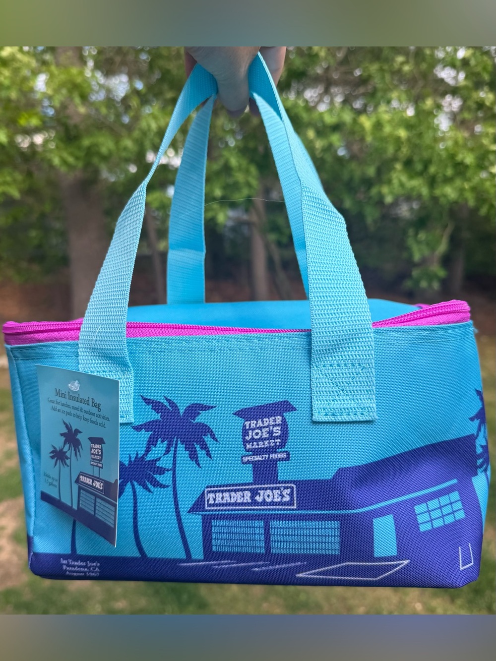 Viral Sold Out Trader Joe’s Mini Insulated Tote Summer Collection 2026